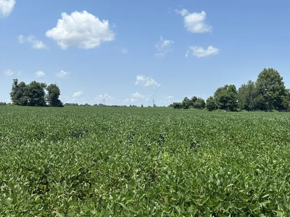 81.39 Acres Hwy #62, Campbell, MO 63933