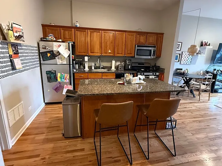 1542 N Damen/2010 W Pierce — Photo 12