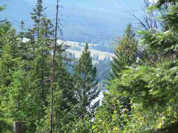 1352 Catamount Ridge Ln, Ione, WA 99139