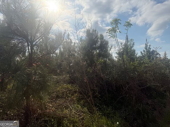 2nd image of 0 Ed Varnadoe Rd