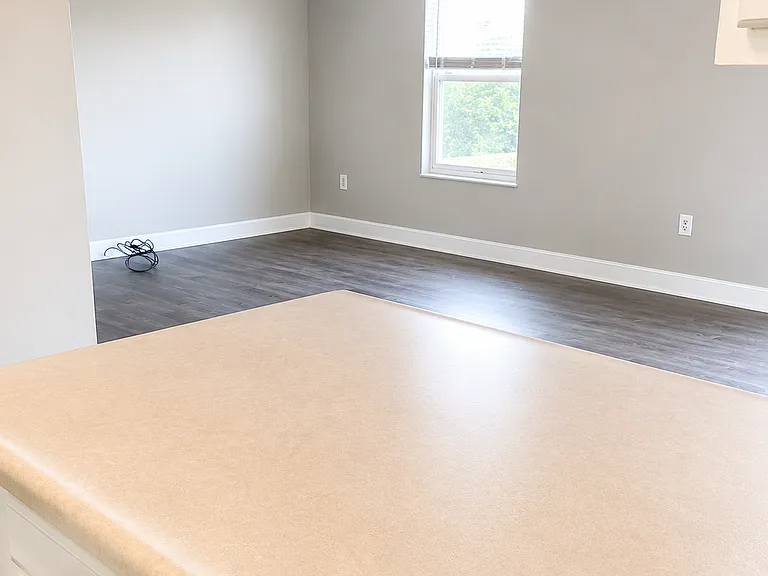 View from Kitchen into the living room
