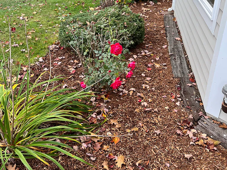 10 Recreation Rd — Photo 52