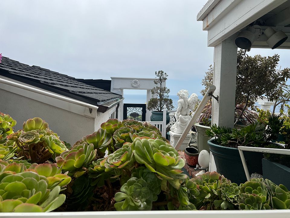 Ocean Garden View