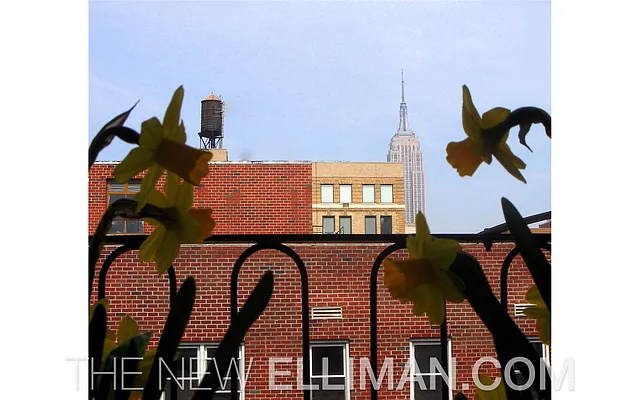 Sold by Douglas Elliman | media 1