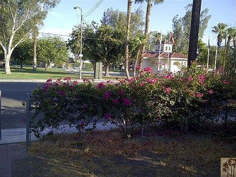 View to the park from the front door.