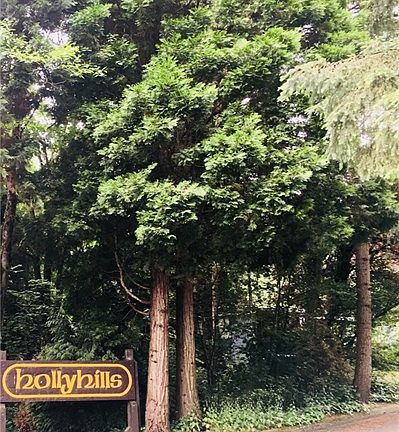 Entrance to subdivision