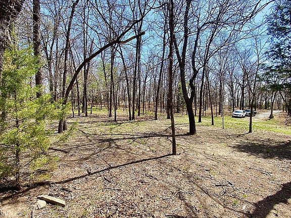 Park-like yard