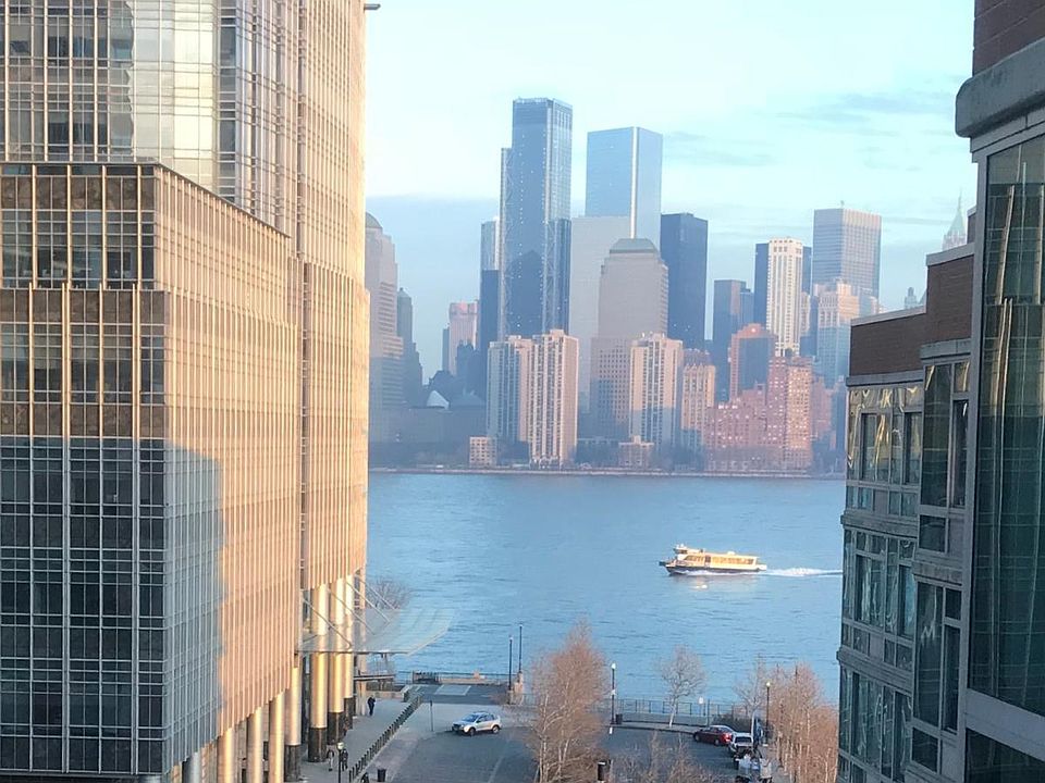 View from the living room!