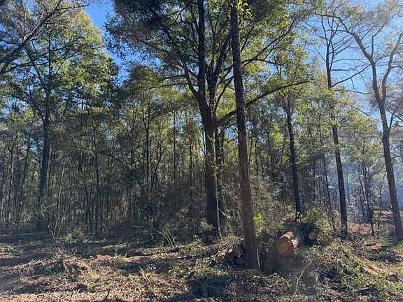 2nd image of 0 Danner Rd #J