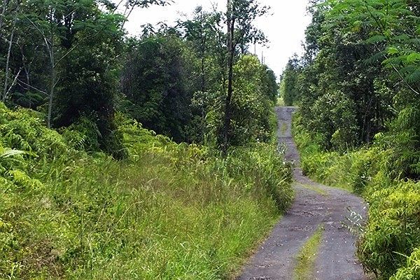 2nd image of Road 3 Hopue Lot 3037