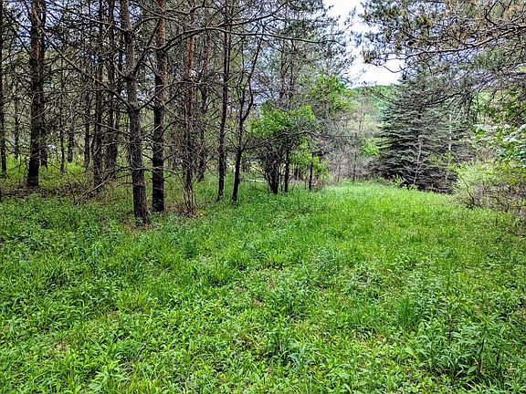 3rd image of 2 Two Mile Rd