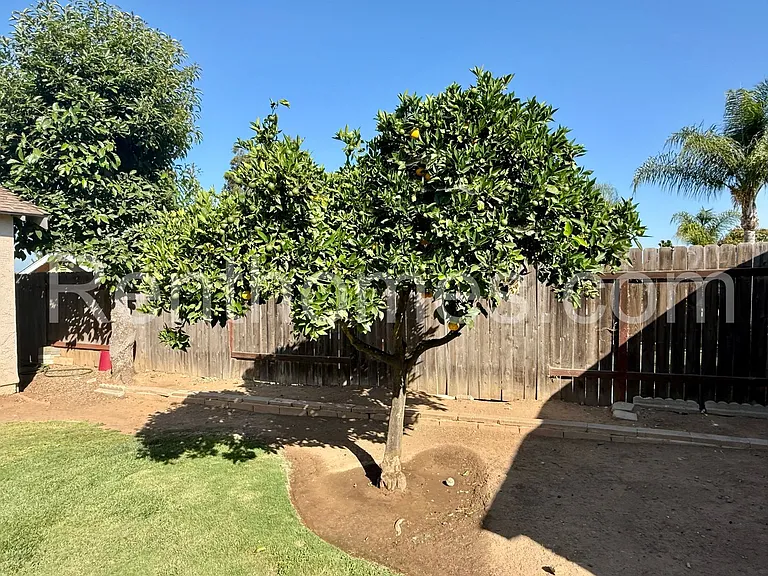 1160 Via Camellia — Photo 32