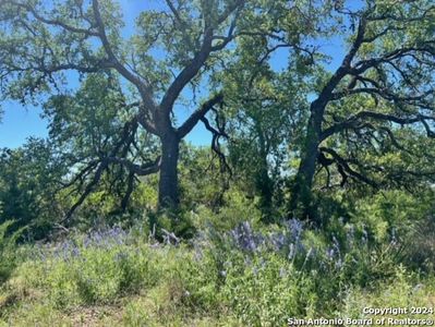 220 Blackbird LOT 1899, Spring Branch, TX, 78070