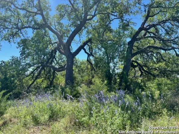 220 Blackbird LOT 1899, Spring Branch, TX 78070