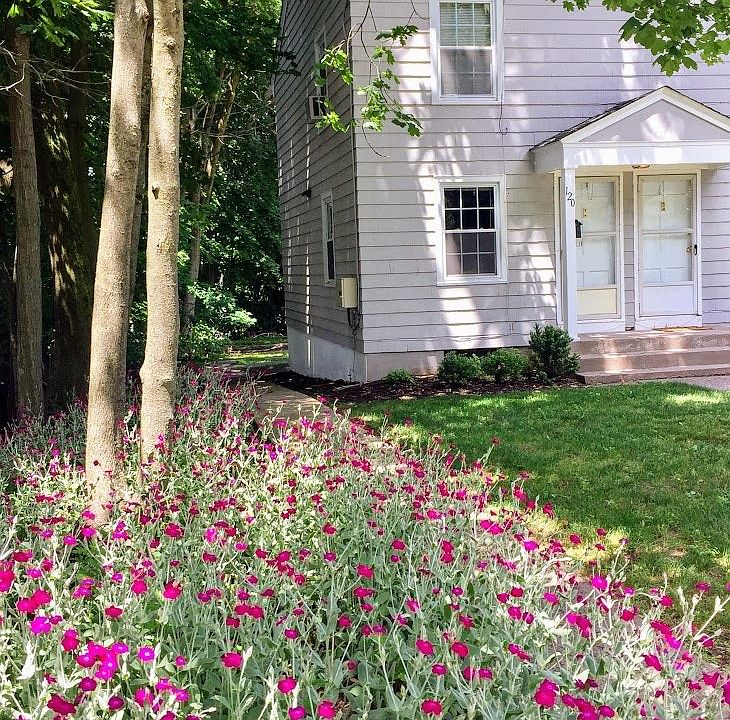 1st image of 120 Diamond St