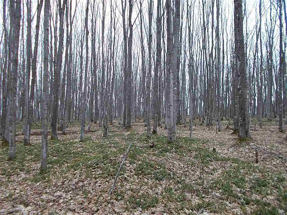 5th image of 10 Acres Ofc County