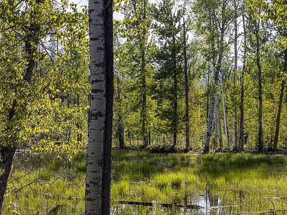 74th image of this home