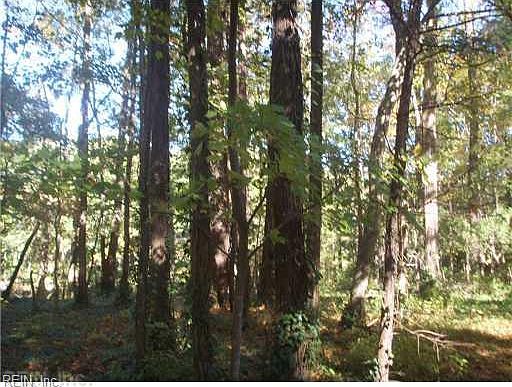 2nd image of 142A Doncaster Rd