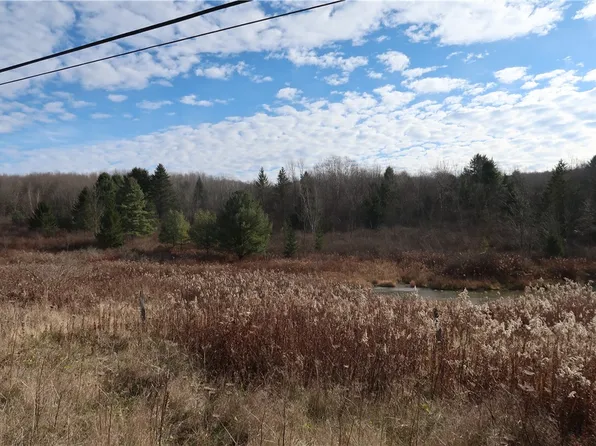 0 County Road 35, Oxford, NY 13830