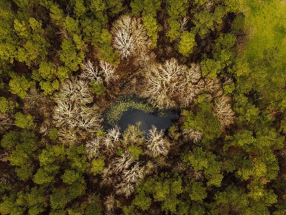 132 Copiah Bs Pics 4