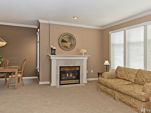 Gas fireplace