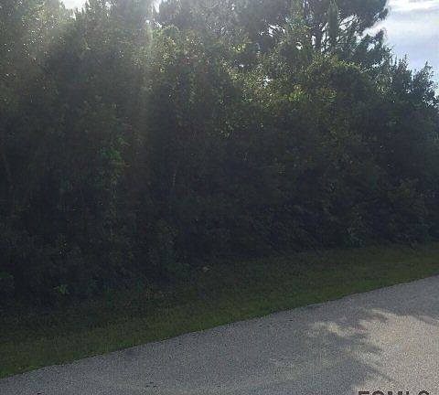 5th image of 21 Burnell Dr