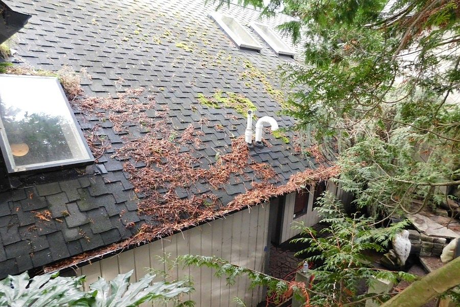 1235 Madrona Ave, Everett, WA 98203 Zillow