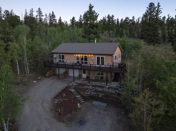 1073 Ute Trl, Como, CO 80432