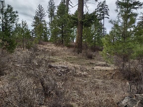 5th image of Xx Lyons Hill Rd