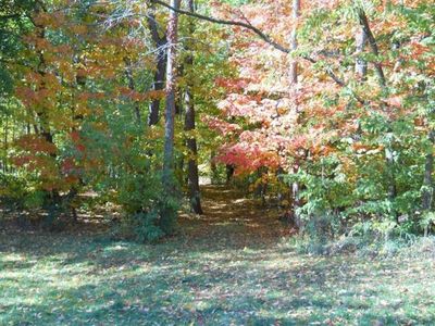 17075 Black St, Vandalia, MI, 49095