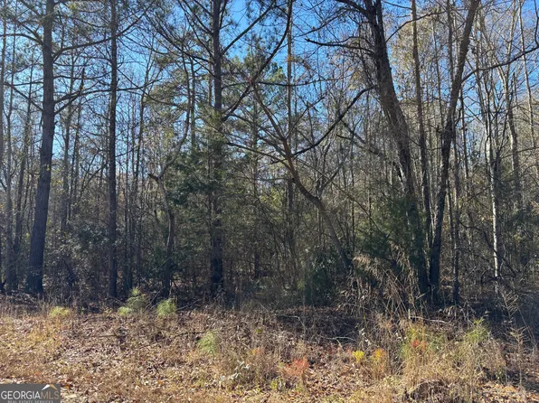 0 Lee Road 378, Valley, AL 36854