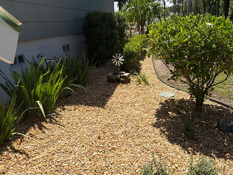 1550 Clay Blvd — Photo 27