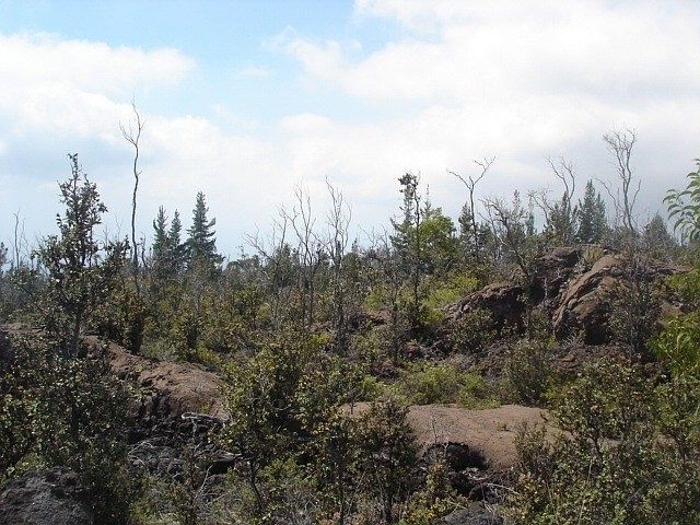 1st image of 92-9111 Reef Pkwy Lot 24