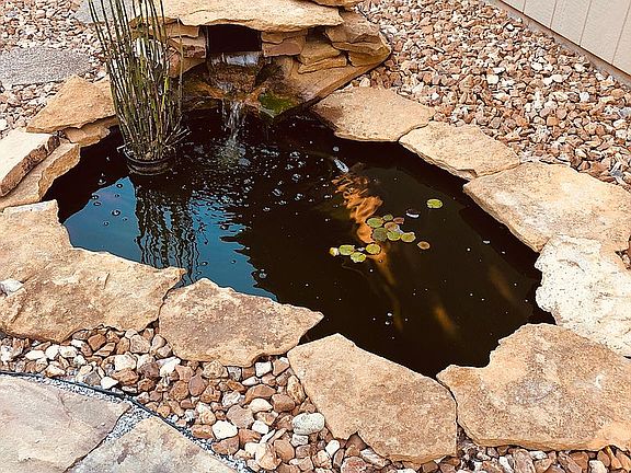 Coy pond/ waterfall