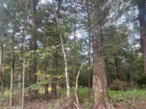 3 Three Knotch Rd, Clinton, LA 70722