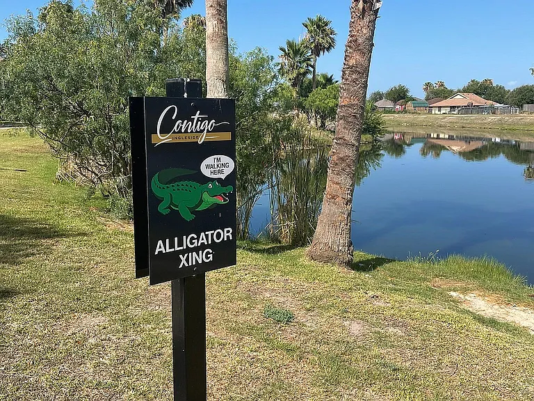 Contigo Alligator new