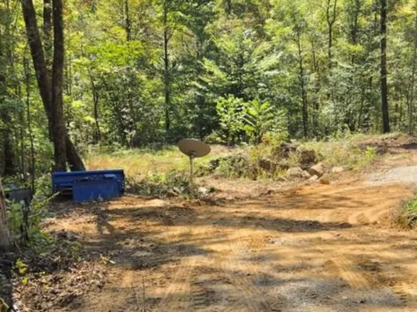 1354 E Obey Ln, Wilder, TN 38589