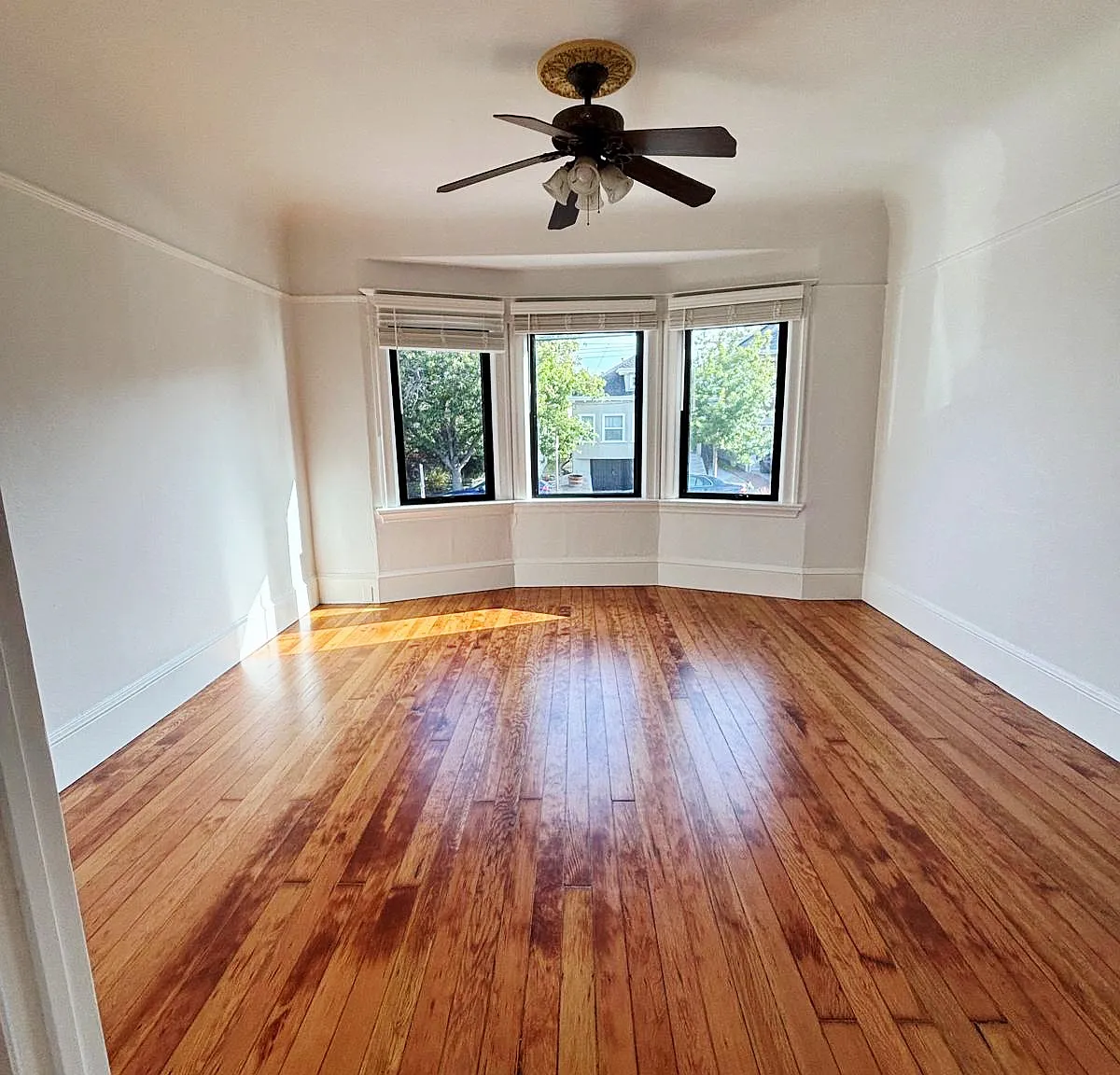 823 Apgar Street - 1 — Photo 3