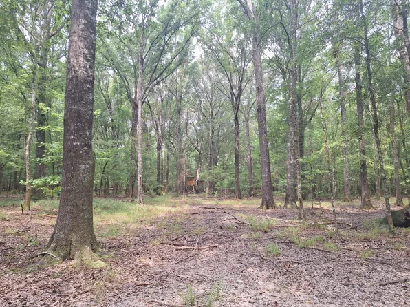 0 Y C Nichols Rd, Lowndesboro, AL 36752