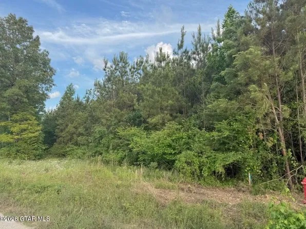 Dry Br, Steens, MS 39766