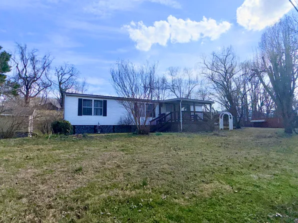 262 Lowe St, Buchanan, VA 24066
