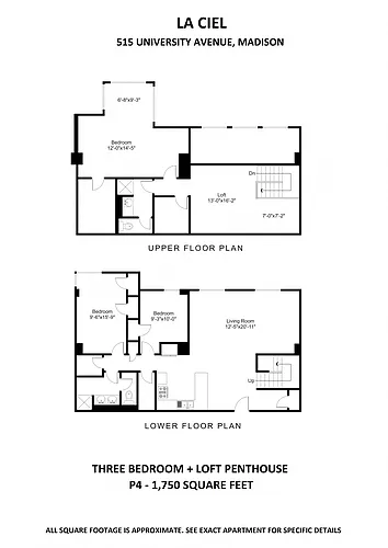 Floor plan 3BR+Loft Penthouse