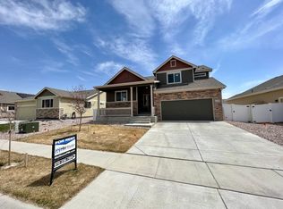 1110 Tur St, Severance, CO 80550