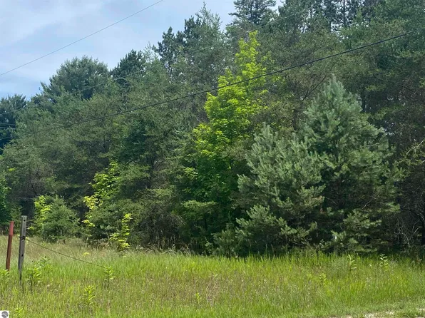 0 Cinder Rd, Beulah, MI 49617