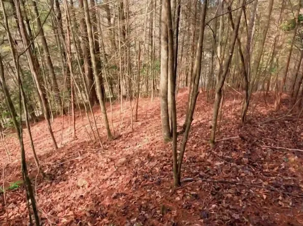 LOT 62 Choctaw Ridge Trl Lot Wp062, Murphy, NC 28906