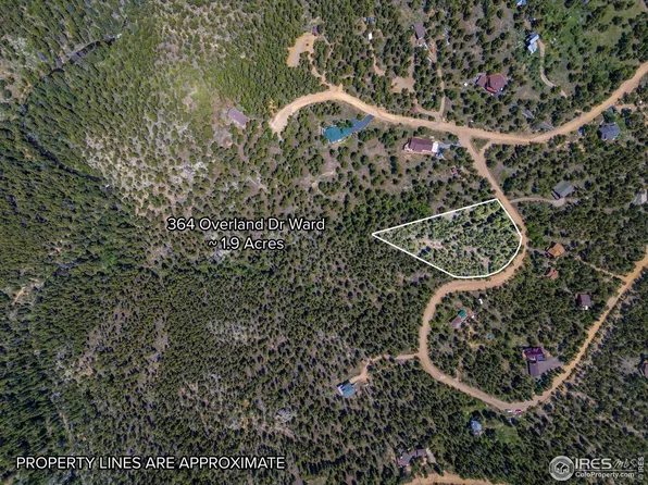 364 Overland Dr, Ward, CO 80481