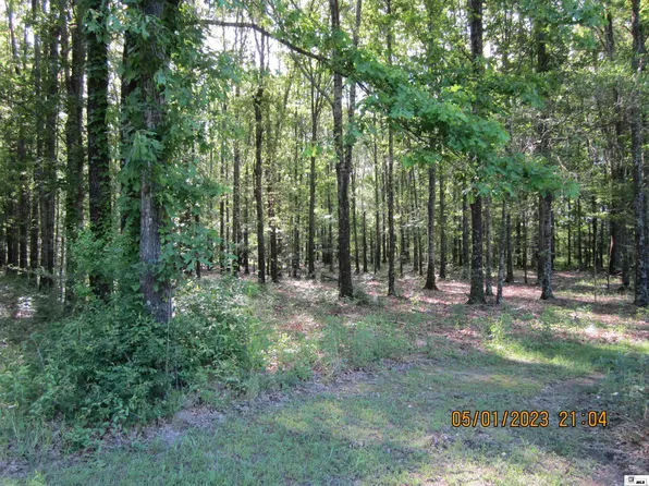 13234 Highway 17, Oak Grove, LA 71263