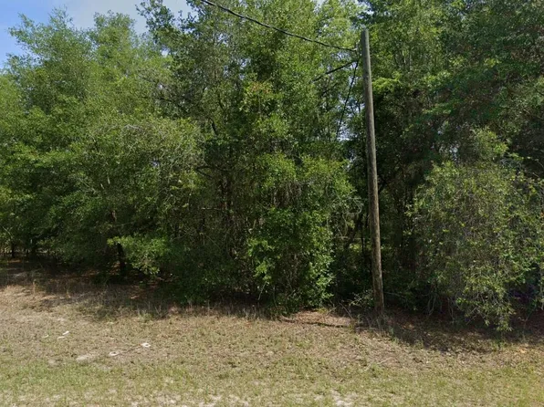 1814 W Magenta Drive, Citrus Springs, FL 34434