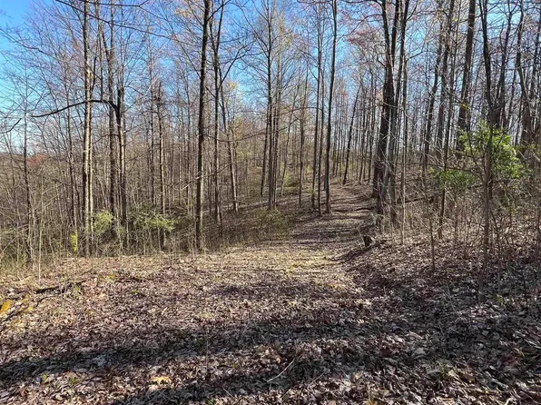 0 Wolf Pen Rd, Crawford, WV 26343