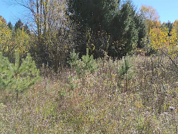 4th image of 0 Middle Rd